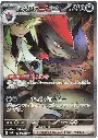 Ns-Zoroark-ex.SV9_battle_partners_japonais.webp